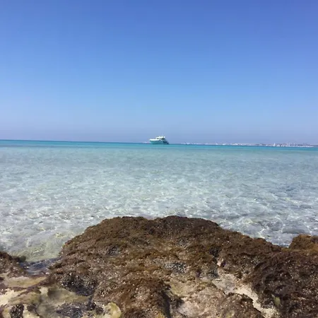 Le Palme Apartmanhotel